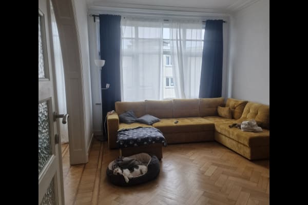 House sit in Brussels, Belgium