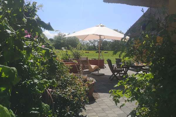 House sit in Aalborg, Denmark