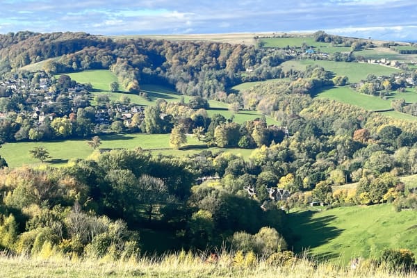 House sit in Stroud, United Kingdom