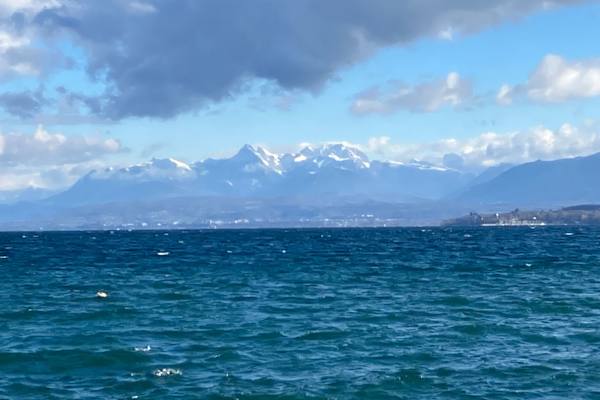 House sit in Nyon, Switzerland