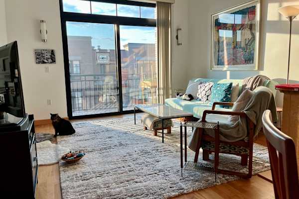 House sit in Madison, WI, US