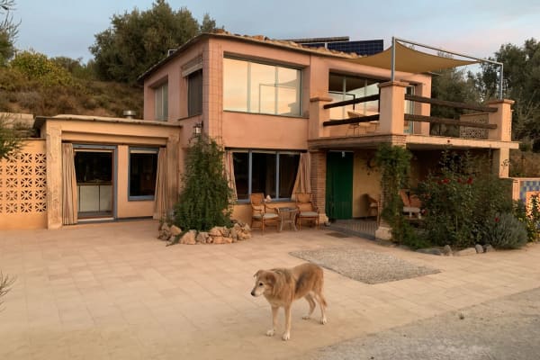 House sit in Cádiar, Spain