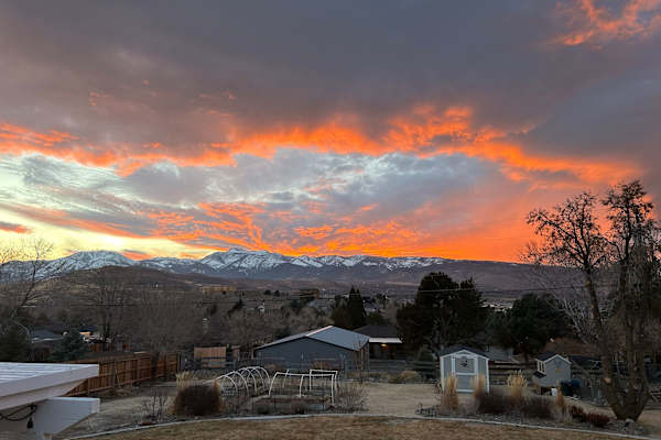 House sit in Reno, NV, US