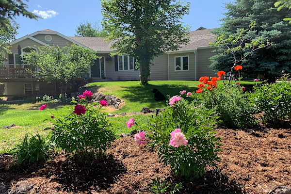 House sit in El Jebel, CO, US