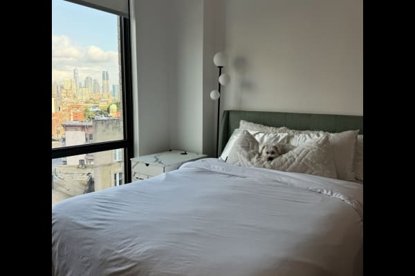 House sit in New York City, NY, US