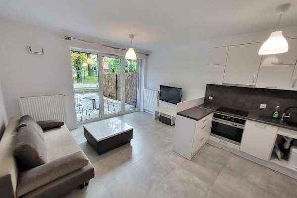 House sit in Kraków, Poland