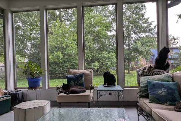 House sit in Indianapolis, IN, US