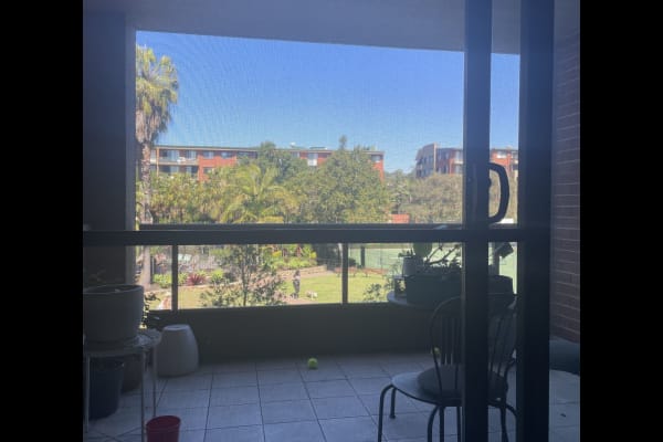 House sit in Sydney, NSW, Australia