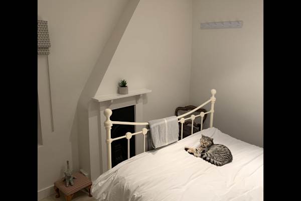 House sit in Winchester, United Kingdom