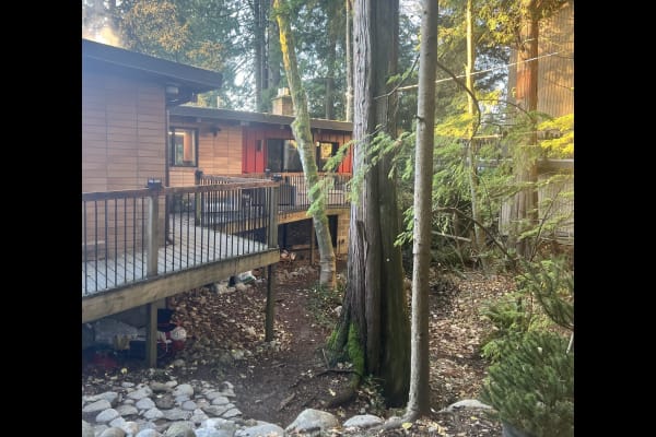 House sit in North Vancouver, BC, Canada