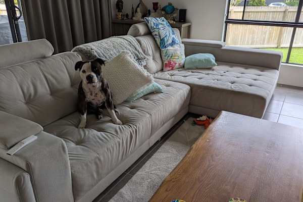 House sit in Cannonvale, QLD, Australia