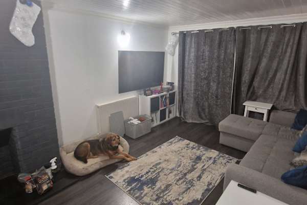 House sit in Saint Helier, Jersey