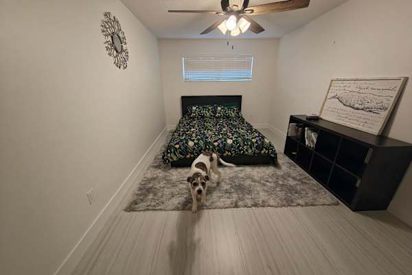 House sit in Clearwater, FL, US
