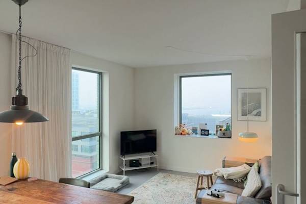 House sit in Amsterdam, Netherlands