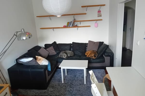 House sit in Luxembourg, Luxembourg