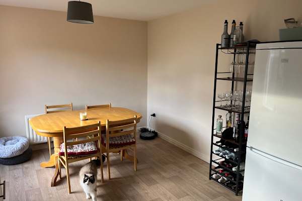 House sit in Gaillimh, Ireland