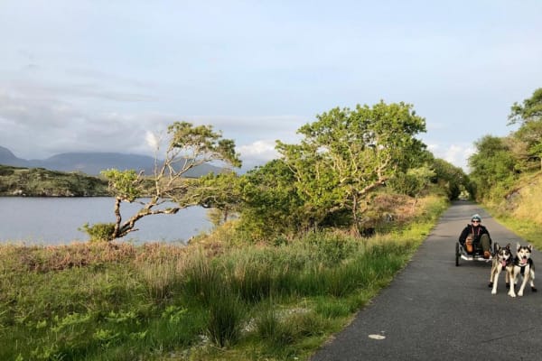 House sit in Roundstone, Ireland