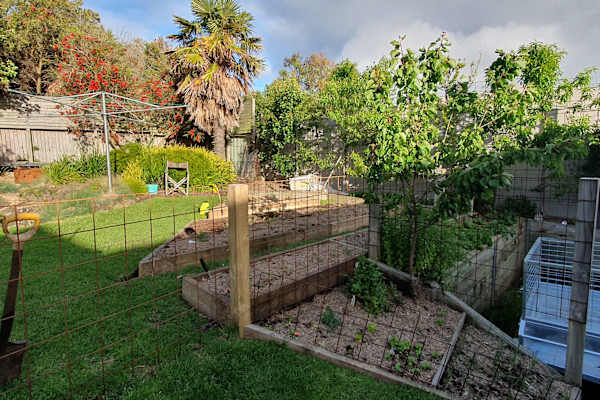 House sit in Warrnambool, VIC, Australia