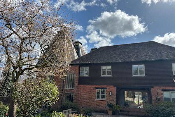 House sit in Alton, United Kingdom