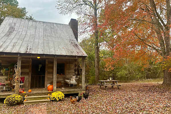 House sit in Chatsworth, GA, US