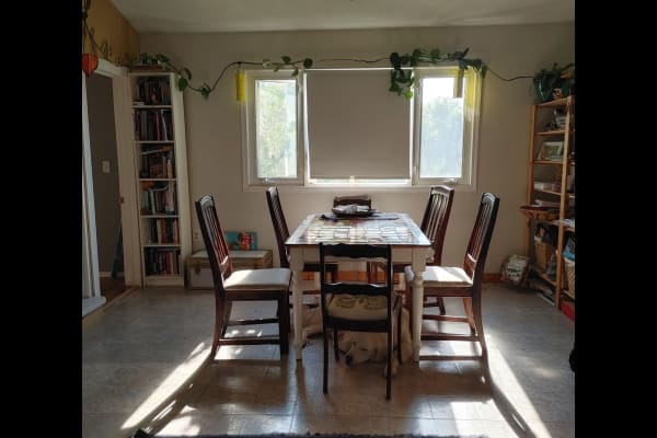 House sit in Camrose, AB, Canada