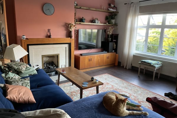 House sit in Norwood, United Kingdom