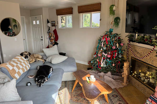 House sit in Carlsbad, CA, US