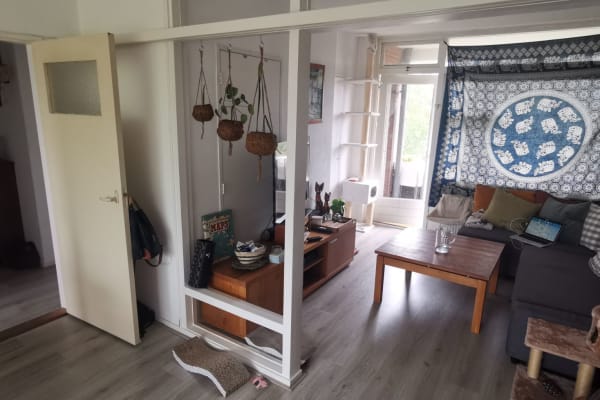 House sit in Arnhem, Netherlands