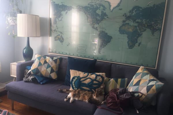 House sit in Brooklyn, NY, US