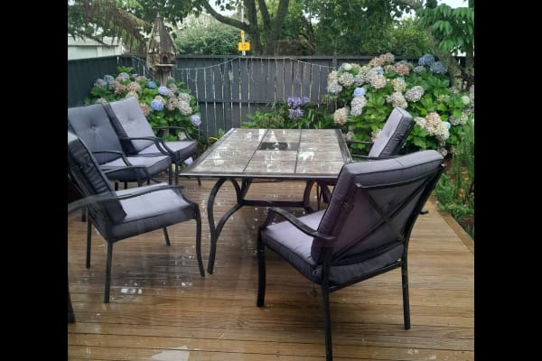 House sit in Auckland, New Zealand