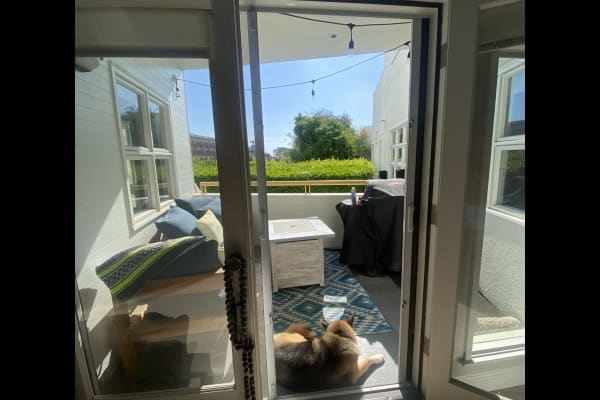 House sit in Santa Monica, CA, US