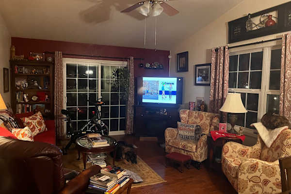 House sit in Bloomington, IL, US