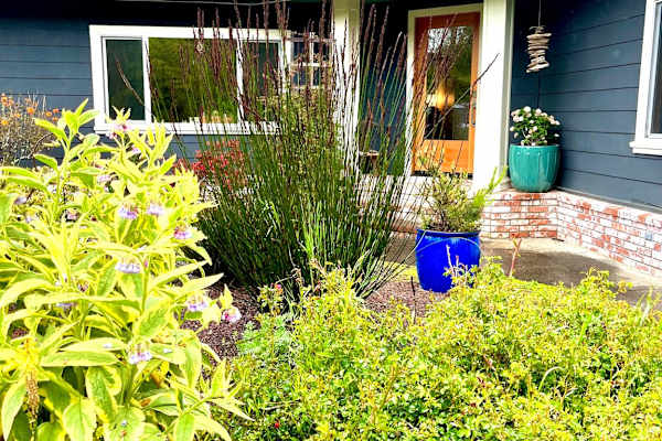 House sit in McKinleyville, CA, US