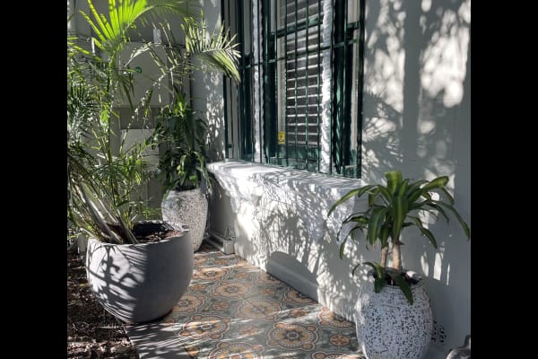 House sit in Sydney, NSW, Australia