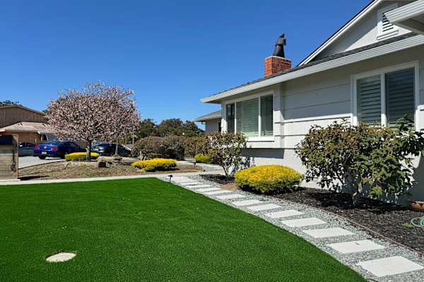 House sit in San Bruno, CA, US