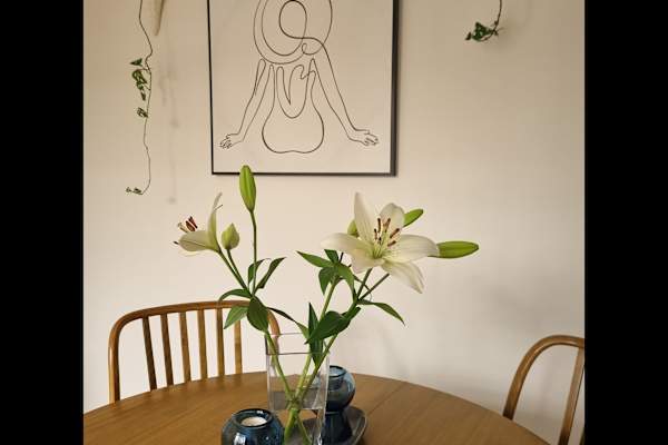 House sit in Clifton Springs, VIC, Australia