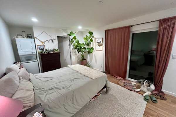 House sit in Asheville, NC, US