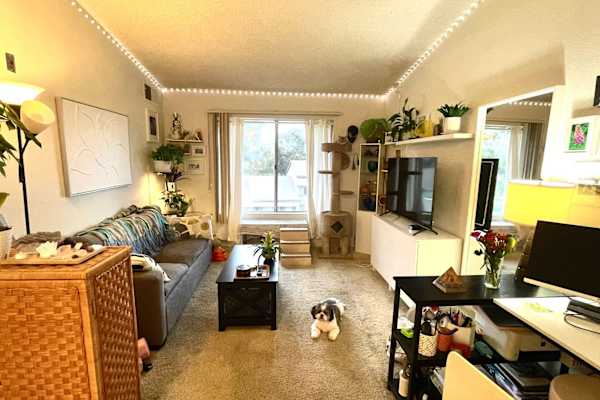 House sit in Long Beach, CA, US