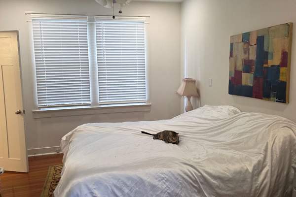 House sit in New Orleans, LA, US