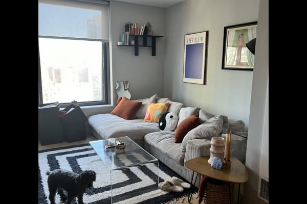 House sit in New York City, NY, US