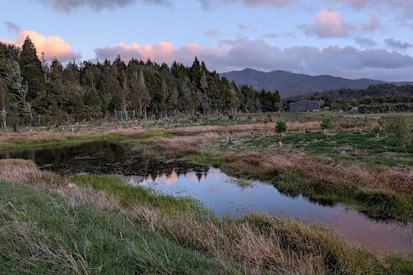 House sit in Westport, New Zealand