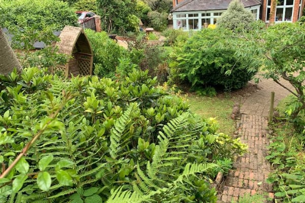 House sit in Tiverton, United Kingdom