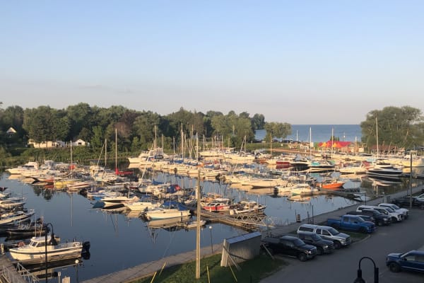 House sit in Newcastle Village, ON, Canada