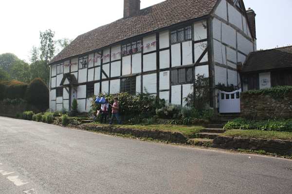 House sit in Guildford, United Kingdom