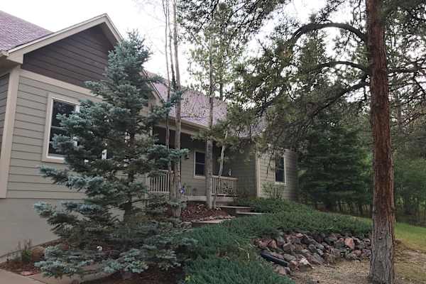 House sit in Larkspur, CO, US