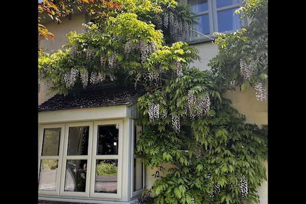 House sit in Bath, United Kingdom