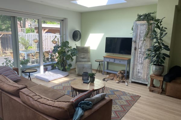 House sit in Groningen, Netherlands