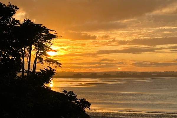 House sit in Howth, Ireland