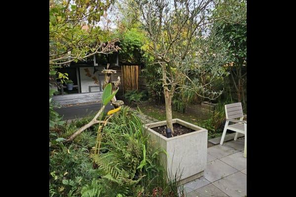 House sit in Eindhoven, Netherlands