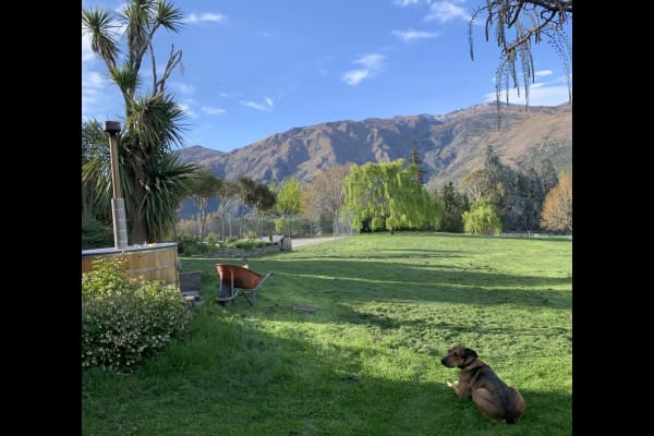 House sit in Queenstown, New Zealand